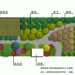 A院 彩屏