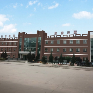 p图1