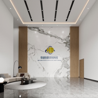 现代前厅