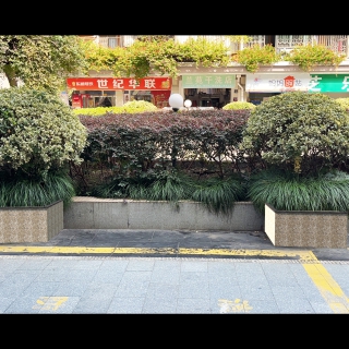 p图1