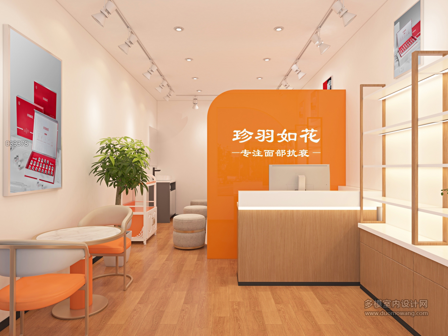 现代 珍羽如花 大图