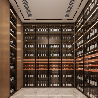 现代 一层  酒窖 1