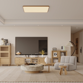 CR作图_Camera001