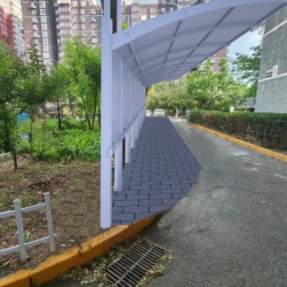 p图5