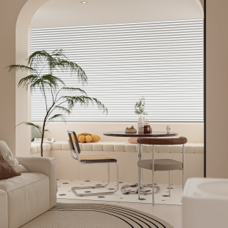 CR作图_Corona Camera002