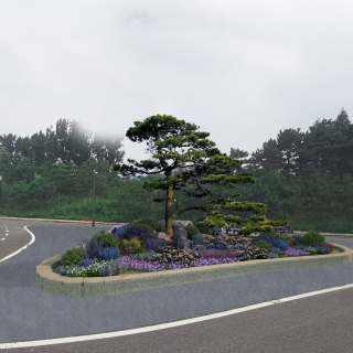 植物p图2