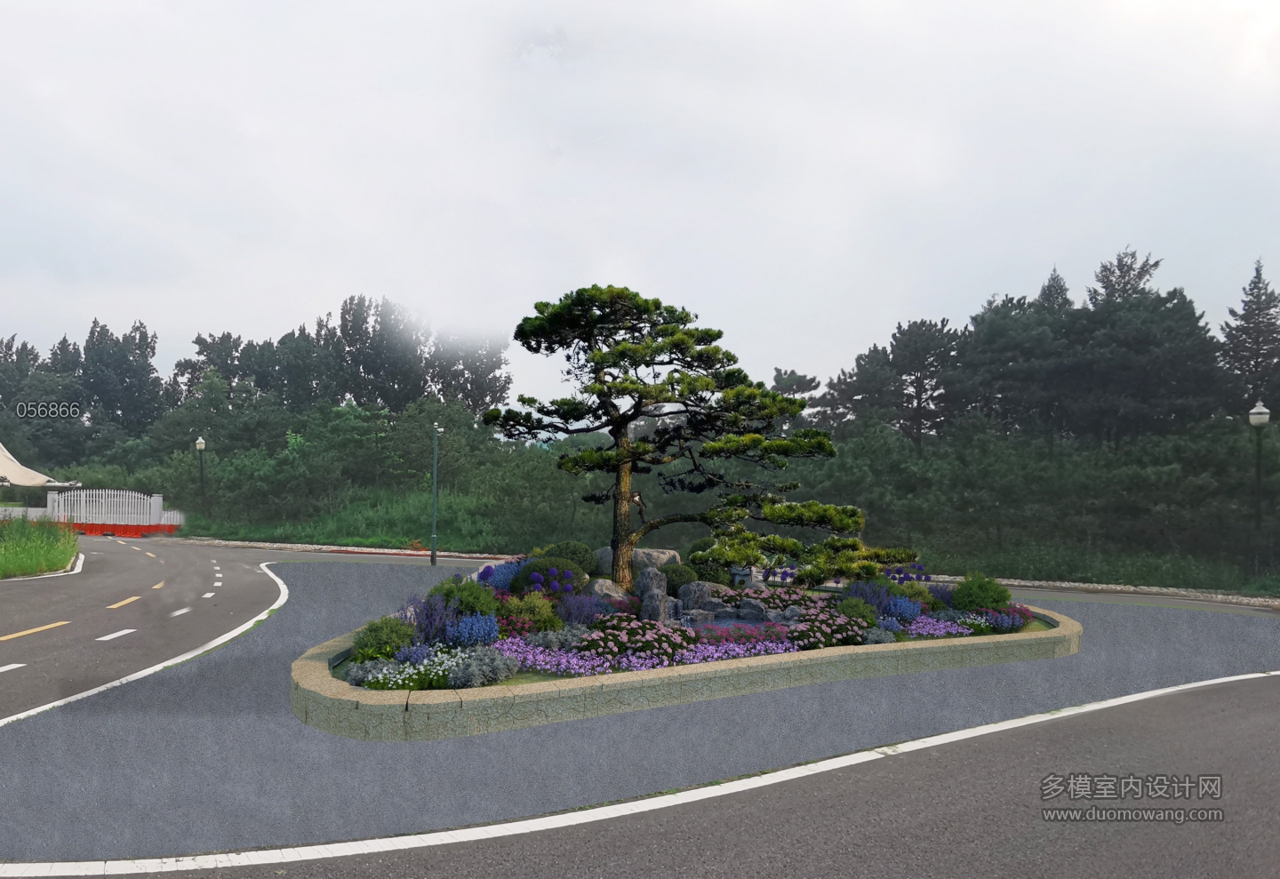 植物p图2