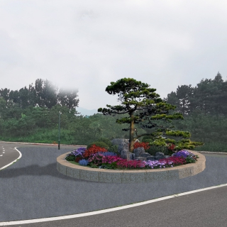 植物p图1