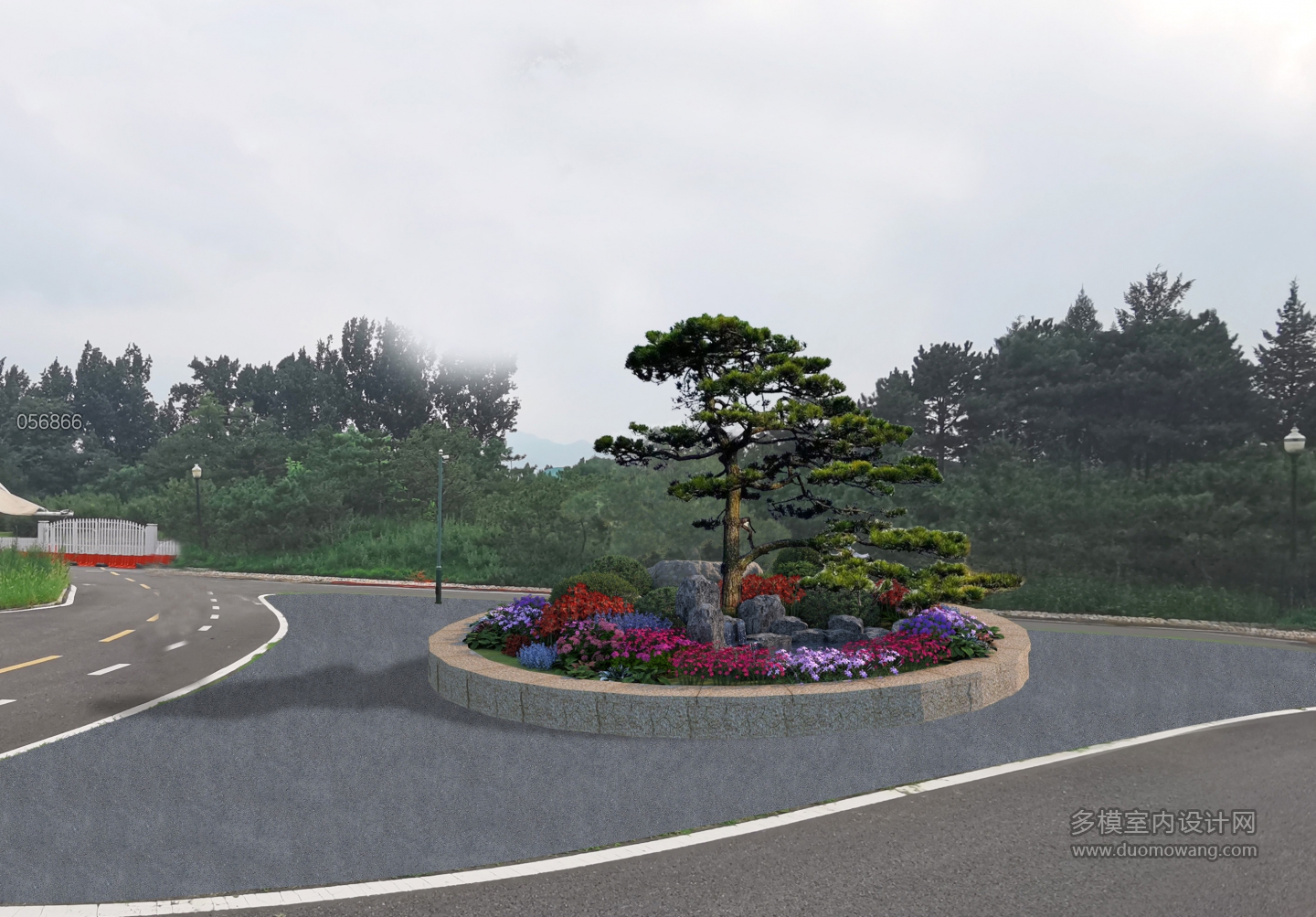 植物p图1