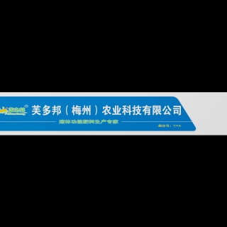 B立面